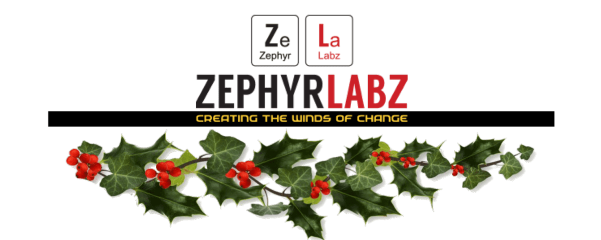 Zephyr Labz End of Year image