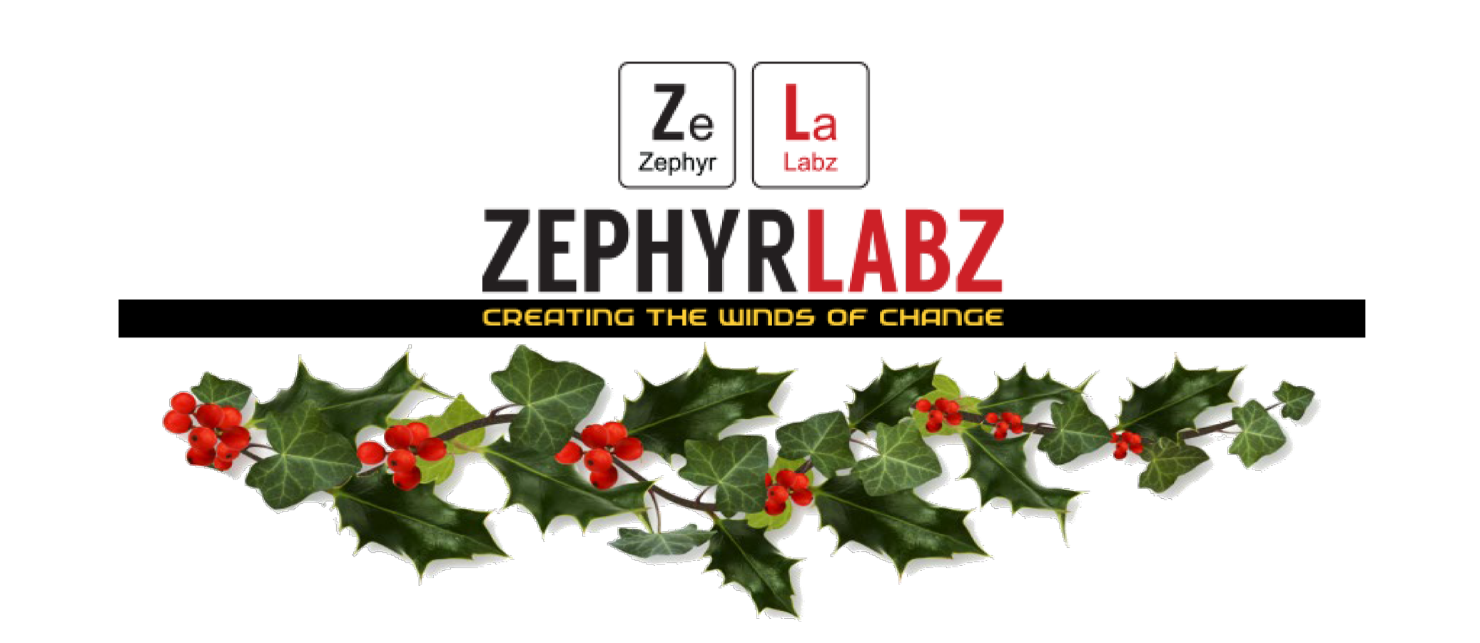 Zephyr Labz End of Year image